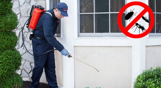 Kemeraltı Kene İlaçlama böcek ilaçlama ve haşere kontrolü — ilaclama-tr.com